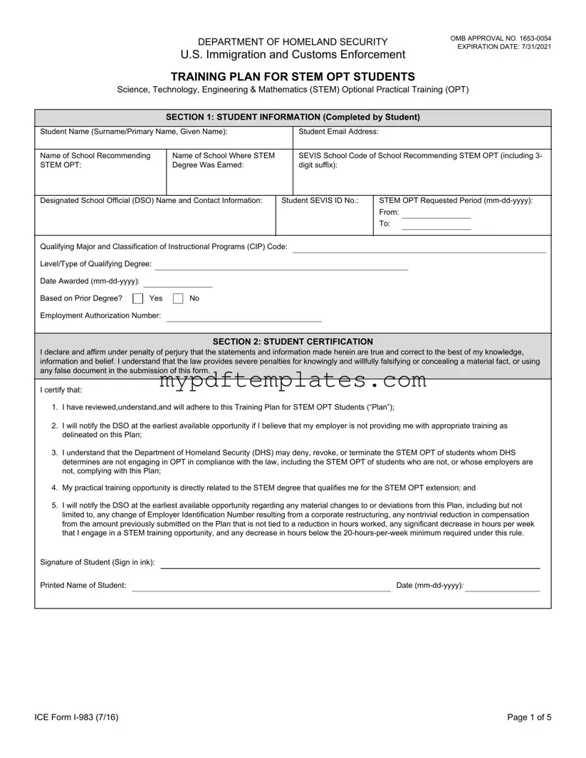 Fill Your ICE I-983 Template