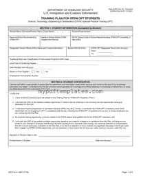 Fill Your ICE I-983 Template